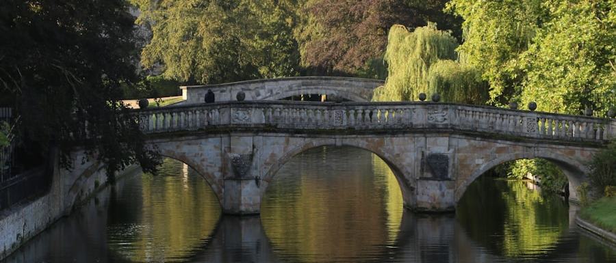 The river in Cambridge on a summer afternoon