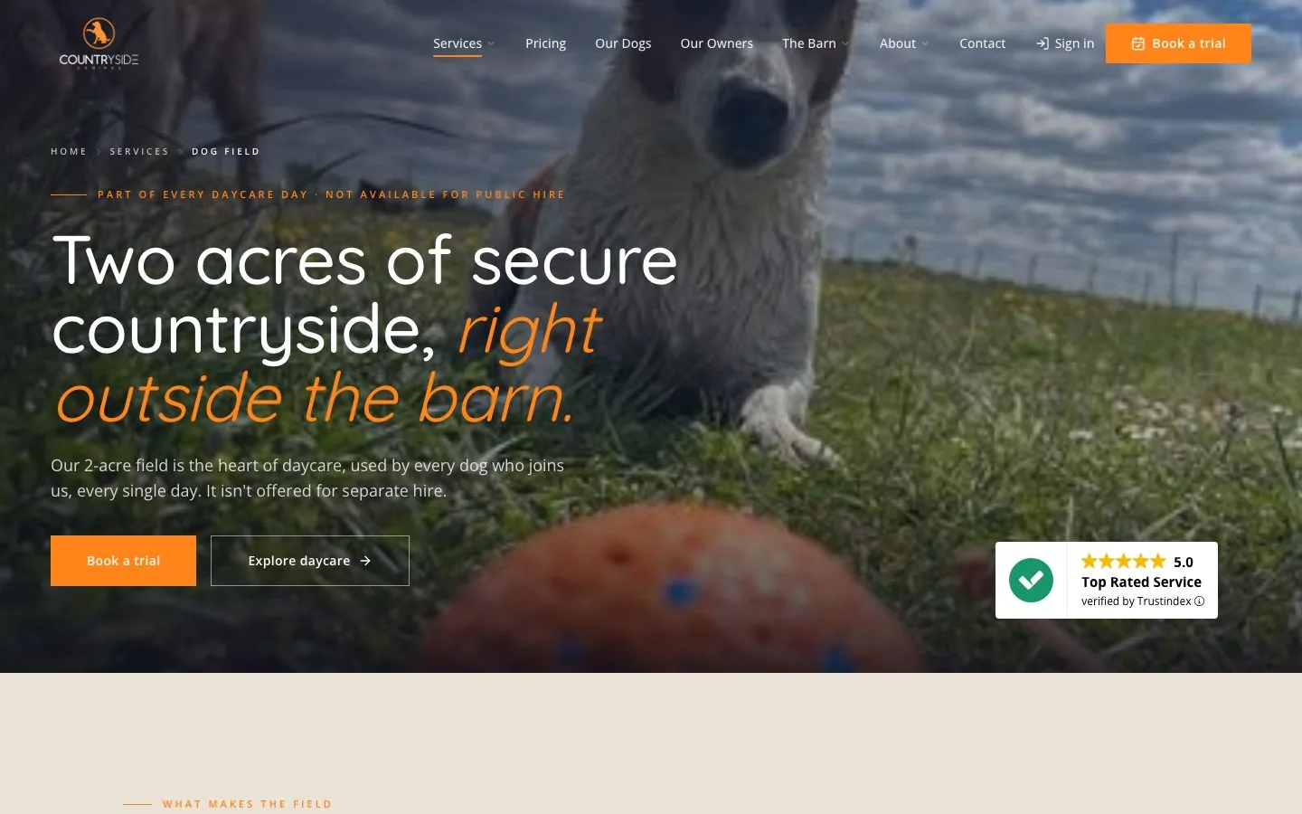 The dog field page, two acres of secure countryside